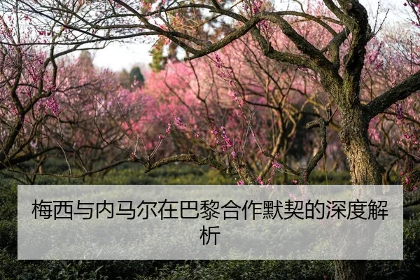 梅西与内马尔在巴黎合作默契的深度解析